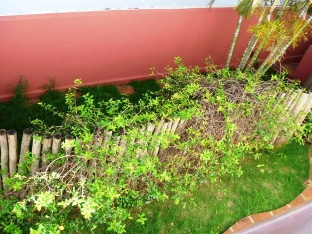Casa, 3 quartos - Foto 10