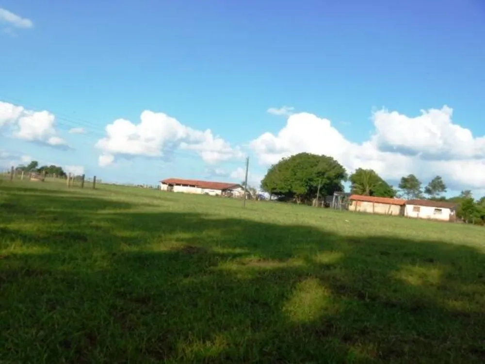 Sítio, 3 quartos, 150 m² - Foto 6