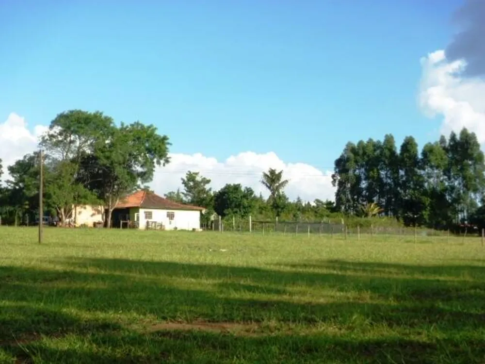 Sítio, 3 quartos, 150 m² - Foto 8
