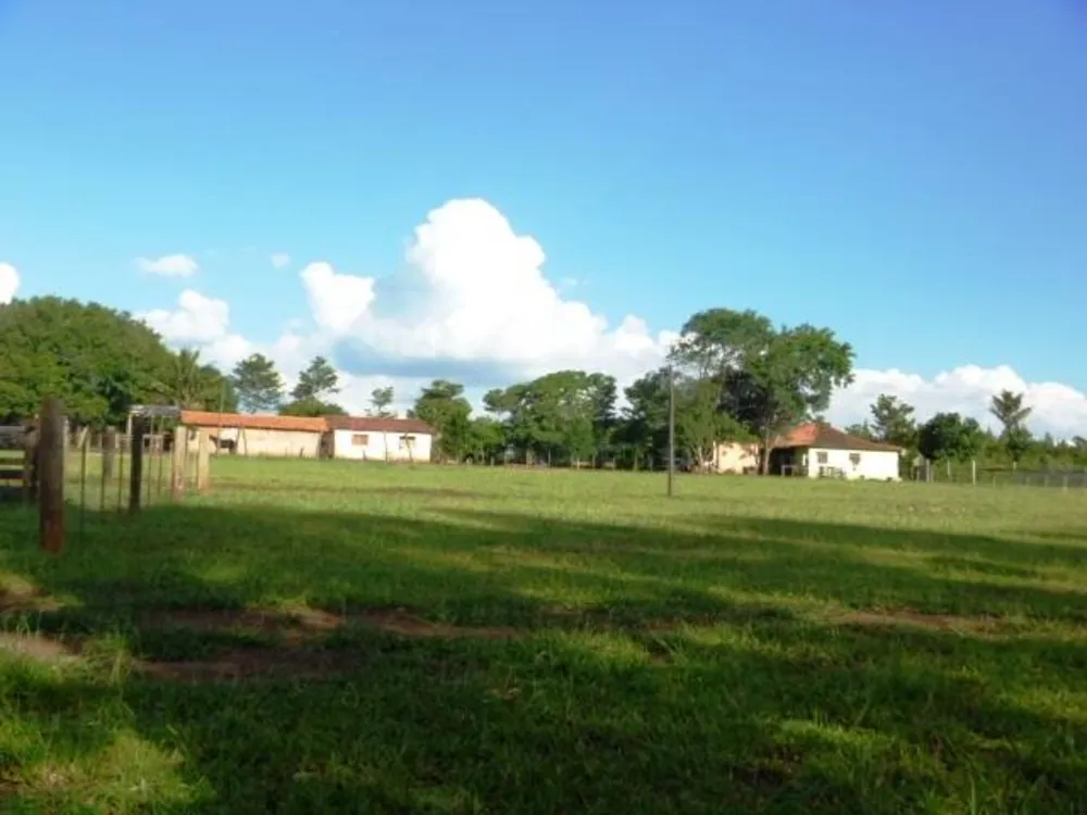 Sítio, 3 quartos, 150 m² - Foto 7