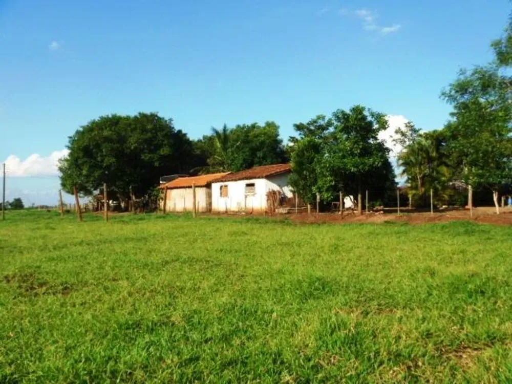 Sítio, 3 quartos, 150 m² - Foto 6