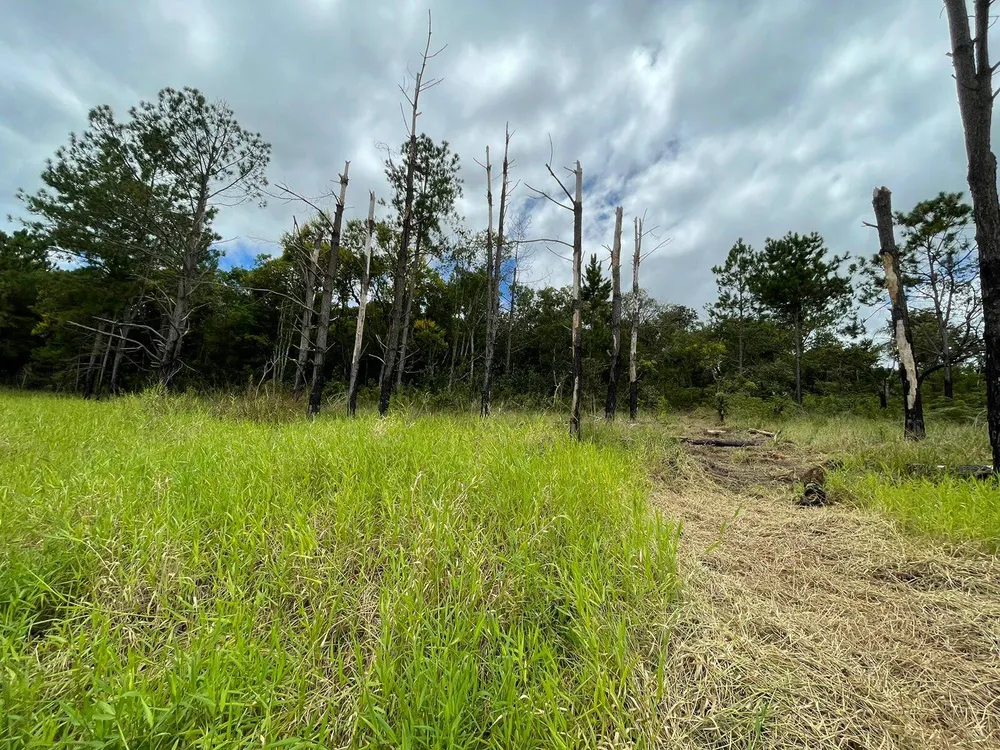 Terreno, 5000 m² - Foto 5