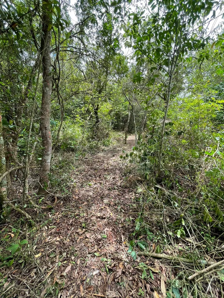 Terreno, 5000 m² - Foto 3