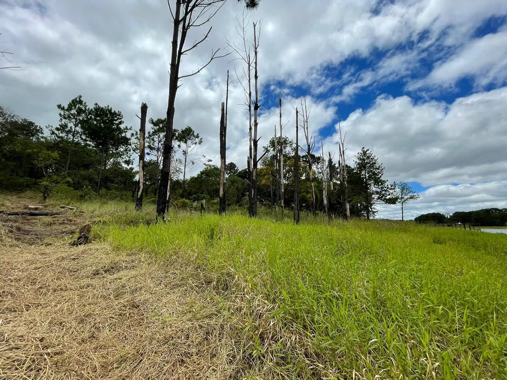 Terreno, 5000 m² - Foto 4