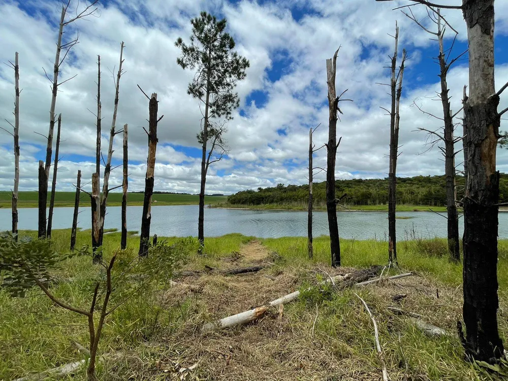 Terreno, 5000 m² - Foto 6