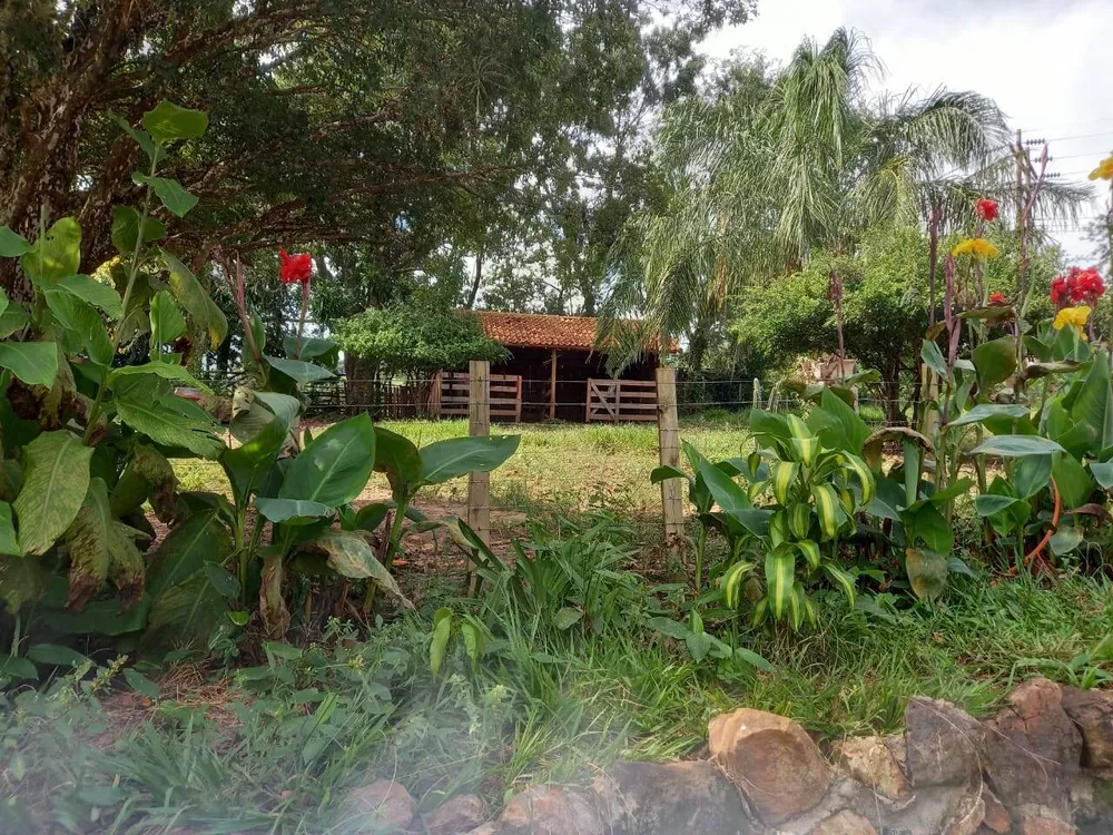 Sítio, 3 quartos, 2 hectares - Foto 4