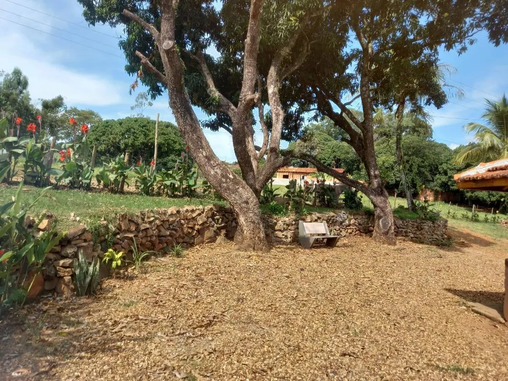 Sítio, 3 quartos, 2 hectares - Foto 6