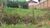 Terreno, 260 m² - Foto 2