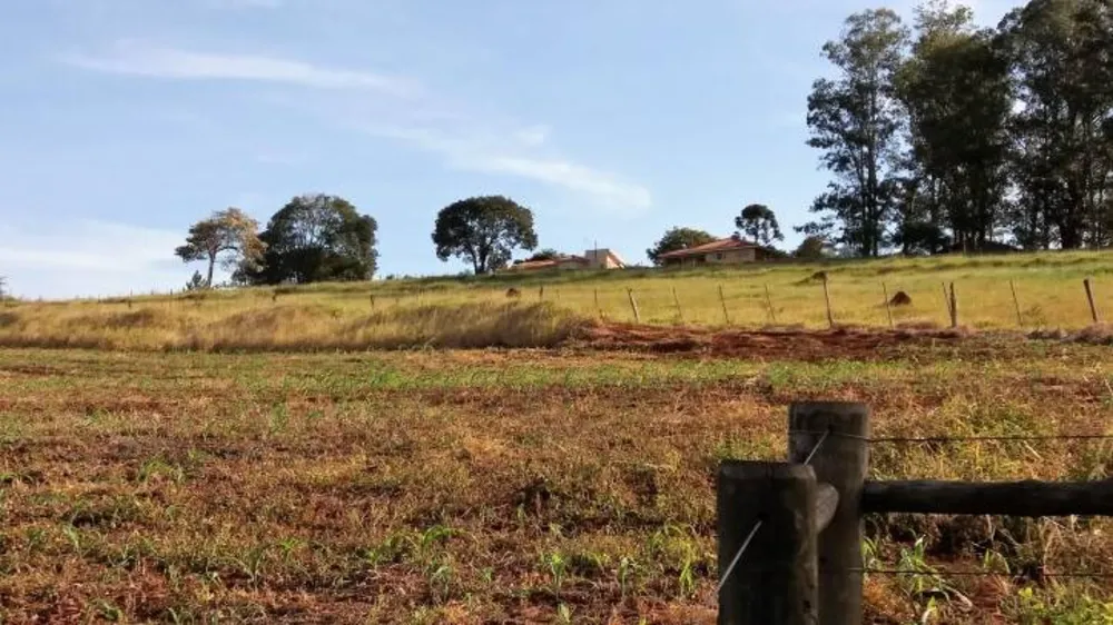 Sítio, 3 quartos, 2 hectares - Foto 10