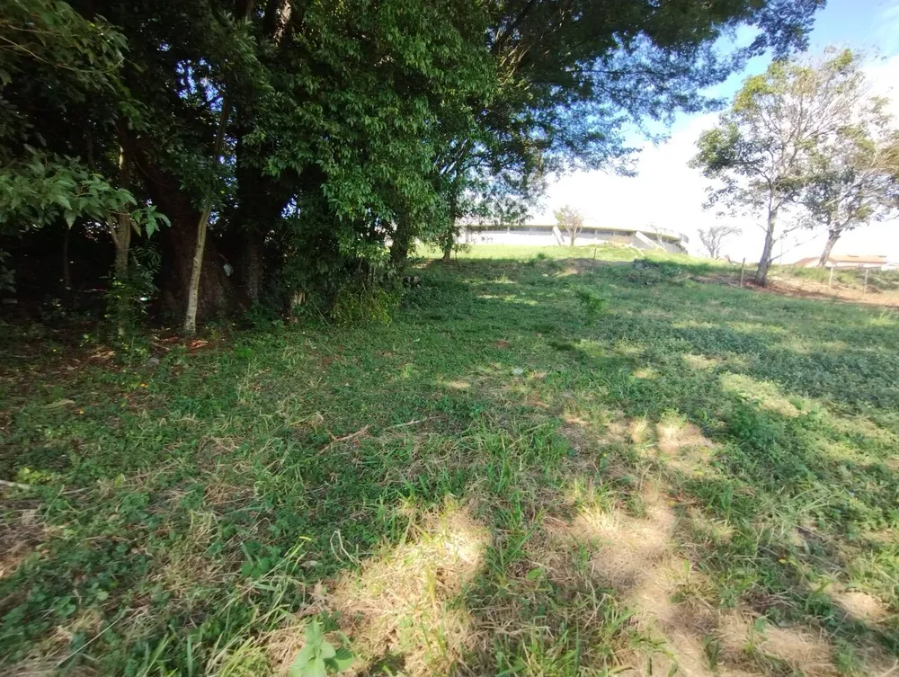 Terreno, 3913 m² - Foto 8