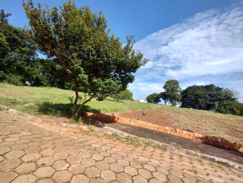 Terreno, 3913 m² - Foto 5