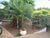 Casa, 3 quartos, 114 m² - Foto 6