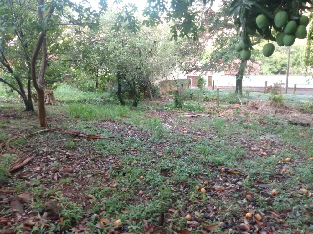 Chácara, 2 quartos, 7304 m² - Foto 9