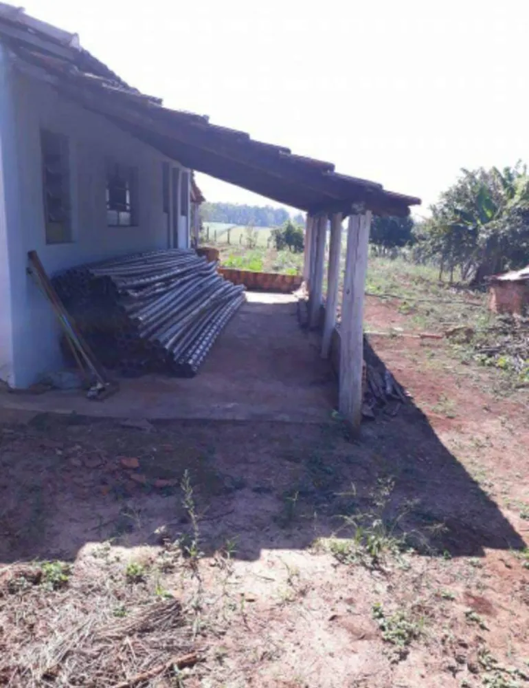 Sítio, 2 quartos, 3900 m² - Foto 4