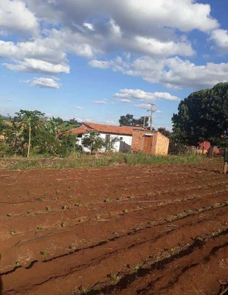 Chácara, 2 quartos, 3900 m² - Foto 12