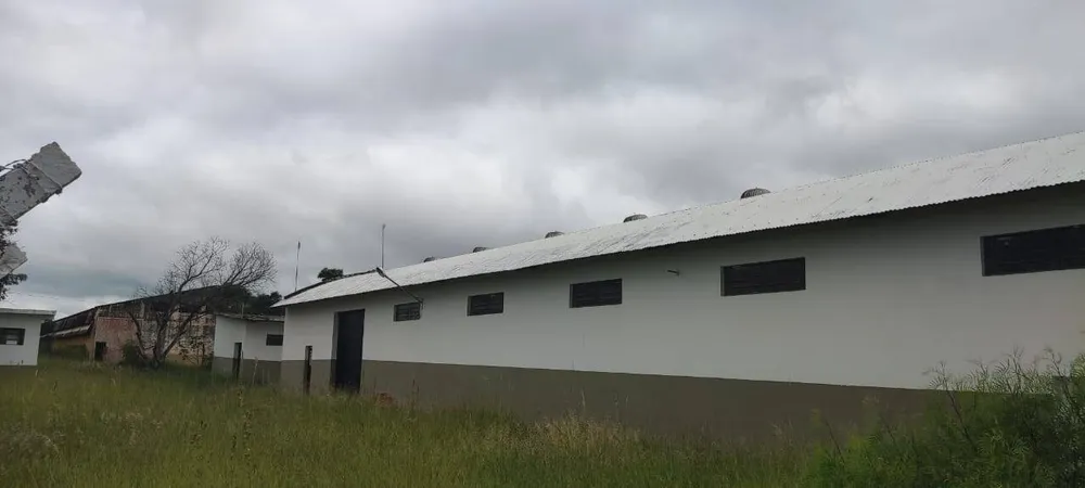 Sala-Conjunto, 1000 m² - Foto 4