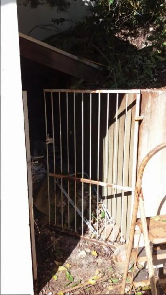 Casa, 3 quartos, 500 m² - Foto 12