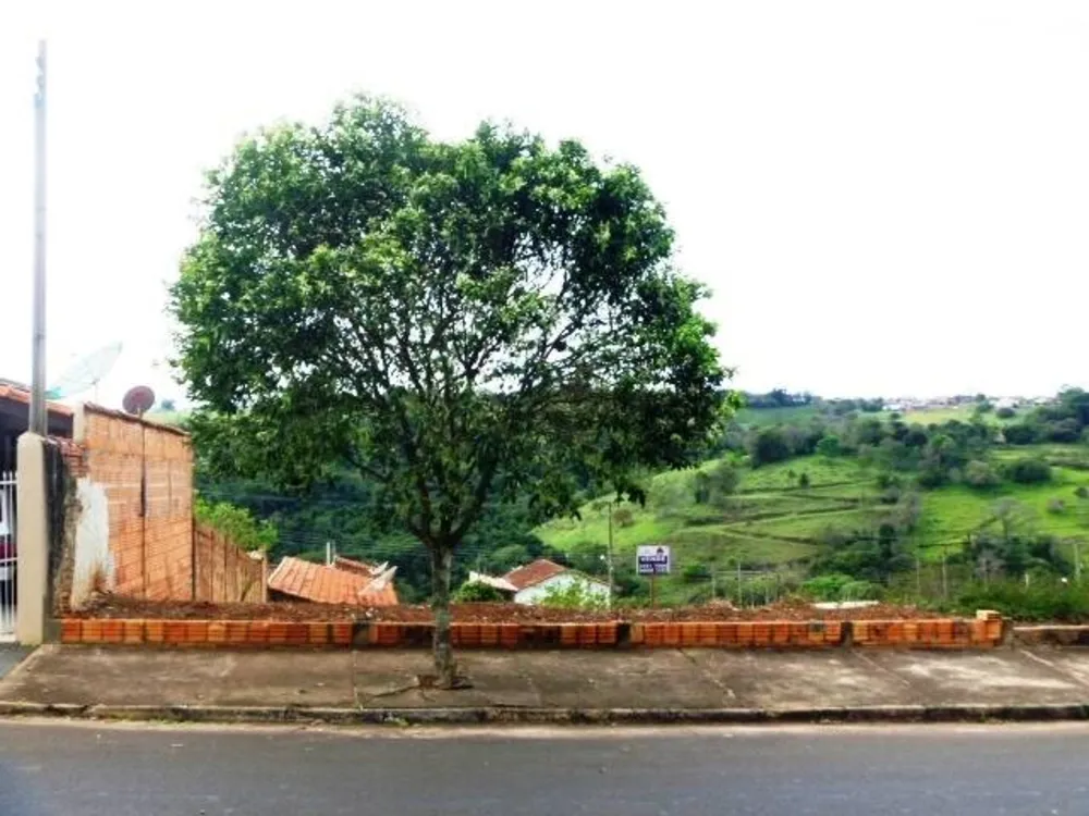 Terreno, 250 m² - Foto 4