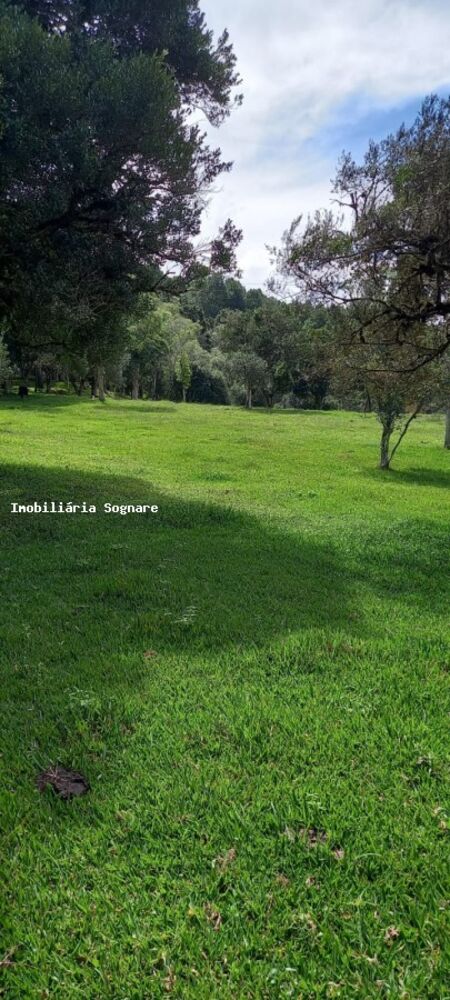 Terreno à venda - Foto 4