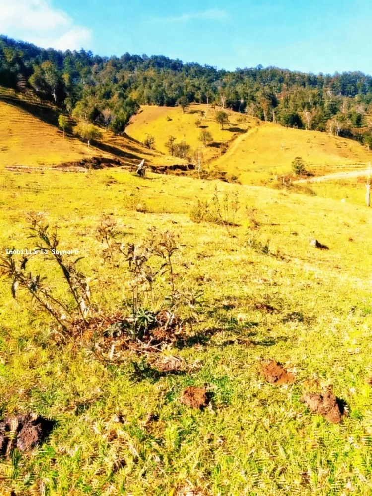 Terreno, 52 hectares - Foto 5