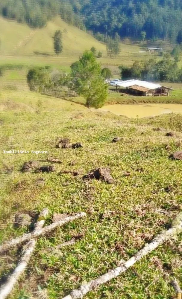 Terreno, 52 hectares - Foto 11