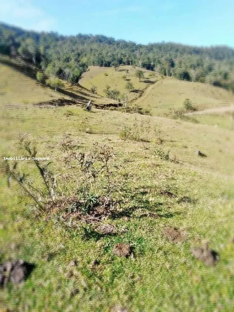 Terreno, 52 hectares - Foto 12