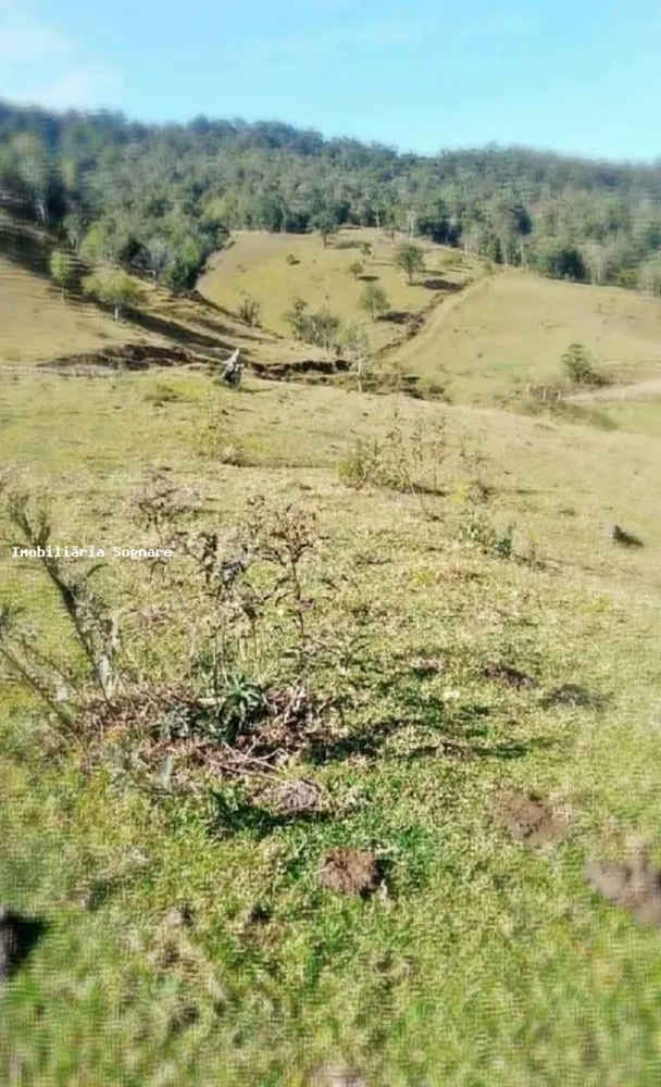Terreno, 52 hectares - Foto 14