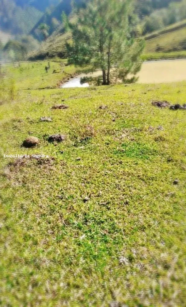 Terreno, 52 hectares - Foto 8