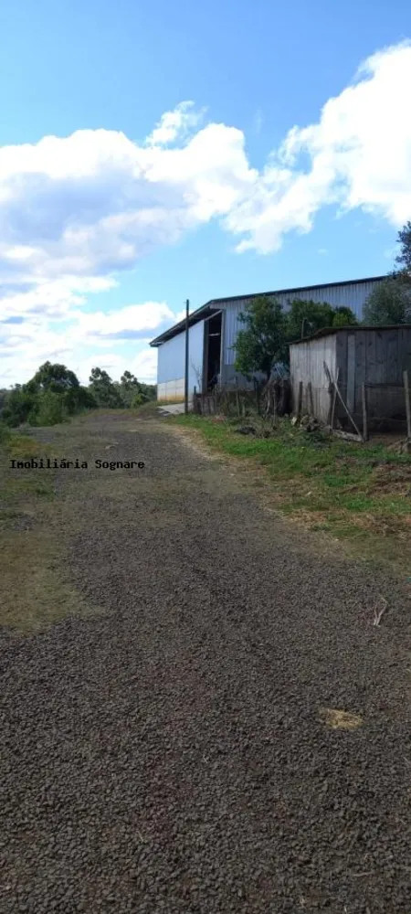 Depósito-Galpão - Foto 6