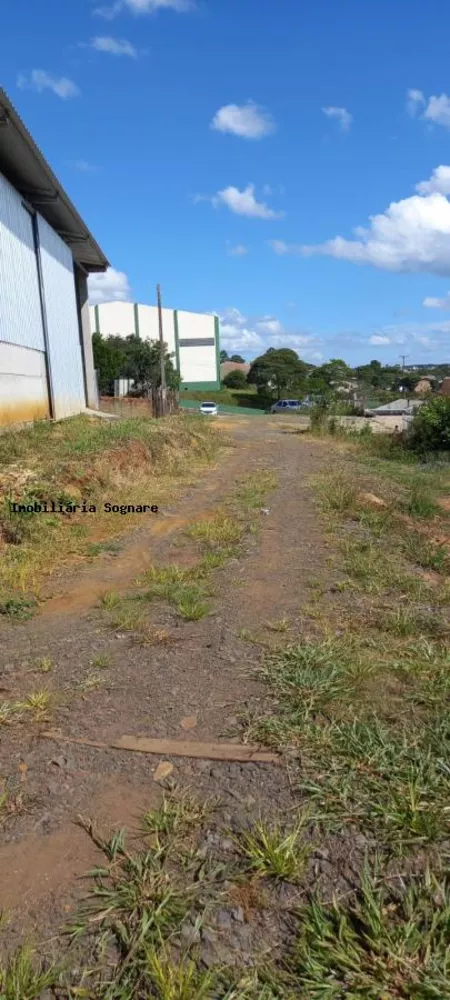 Depósito-Galpão - Foto 2