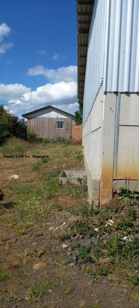 Depósito-Galpão - Foto 7