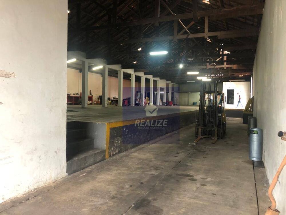 Terreno, 3000 m² - Foto 7