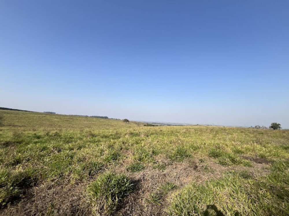 Fazenda-Sítio-Chácara, 212 hectares - Foto 3