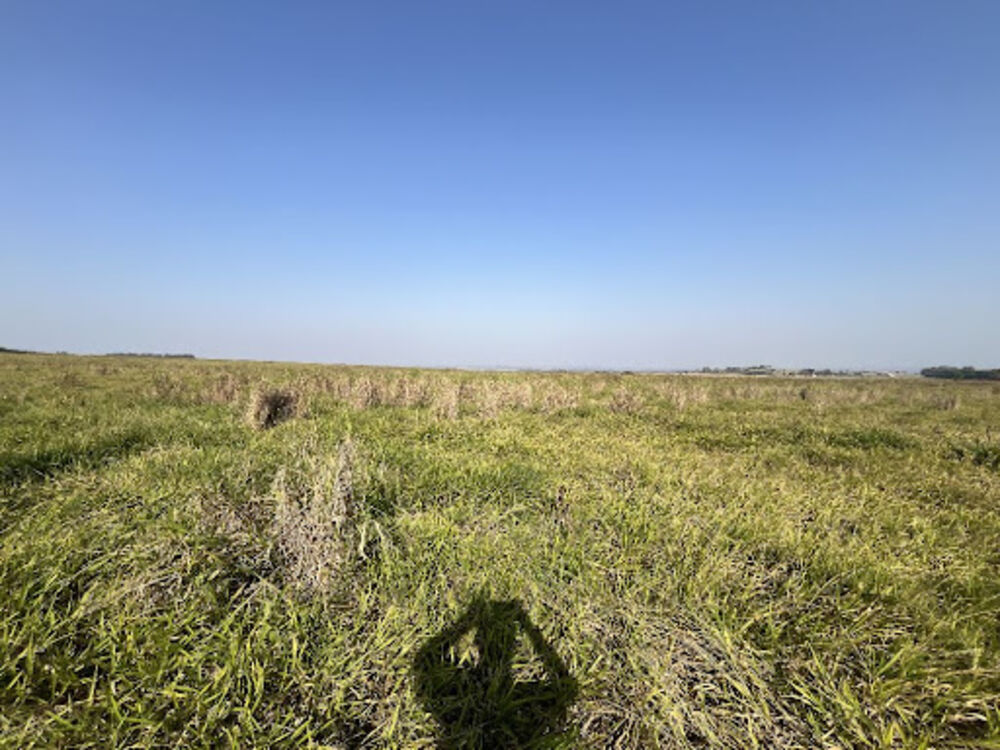 Fazenda-Sítio-Chácara, 212 hectares - Foto 1