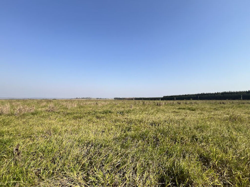 Fazenda-Sítio-Chácara, 212 hectares - Foto 2