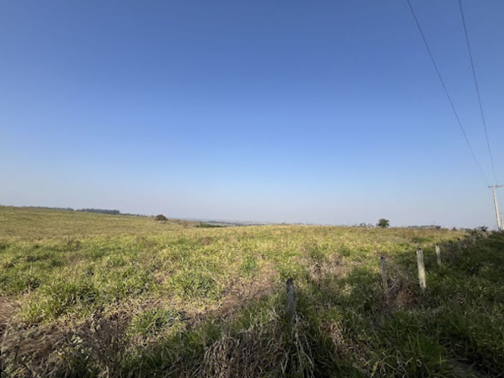 Fazenda-Sítio-Chácara, 212 hectares - Foto 4
