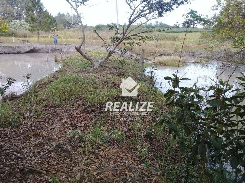 Chácara, 3 quartos, 3 hectares - Foto 7