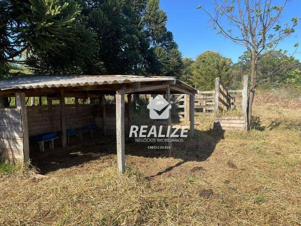 Chácara, 3 quartos, 3 hectares - Foto 1