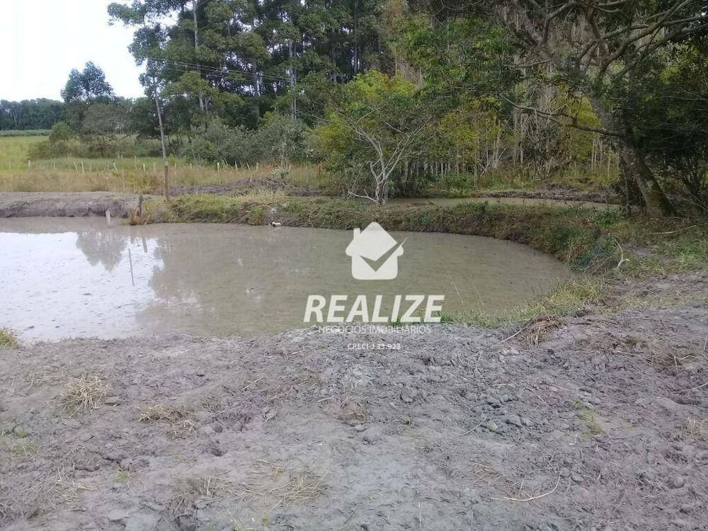 Chácara, 3 quartos, 3 hectares - Foto 3