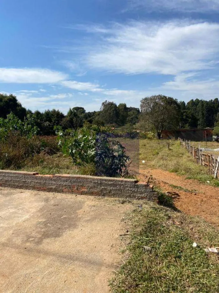Terreno, 2100 m² - Foto 3