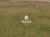 Terreno, 2 hectares - Foto 3