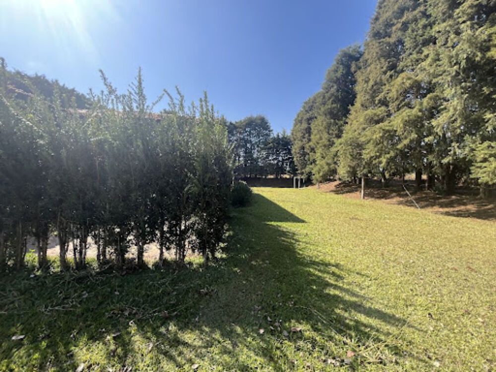 Sítio à venda com 4 quartos, 800m² - Foto 4