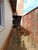 Casa, 2 quartos, 65 m² - Foto 2