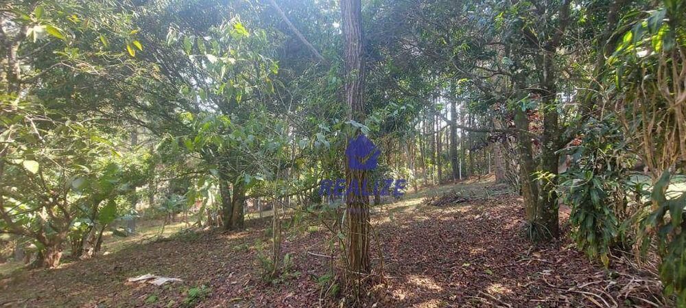 Chácara à venda com 2 quartos, 91m² - Foto 4