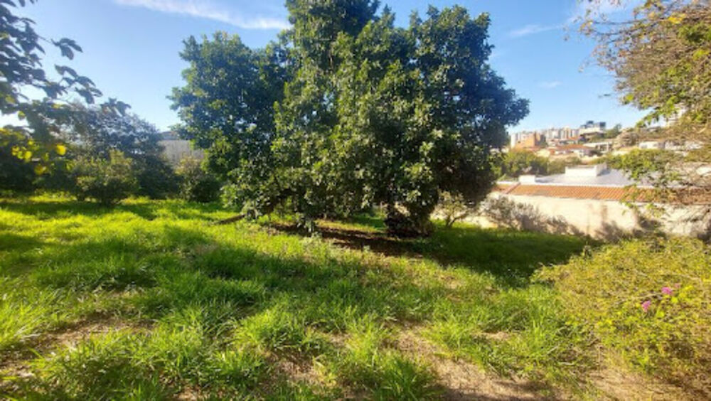 Terreno, 2 m² - Foto 2