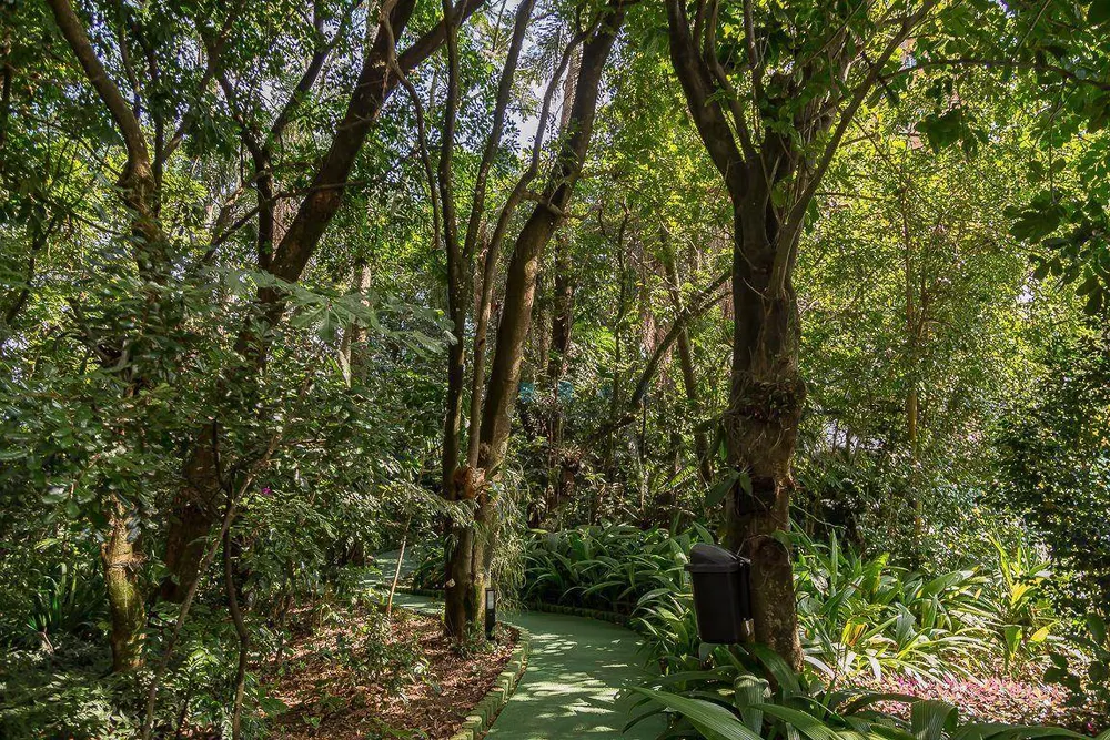 Apartamento, 4 quartos, 370 m² - Foto 24