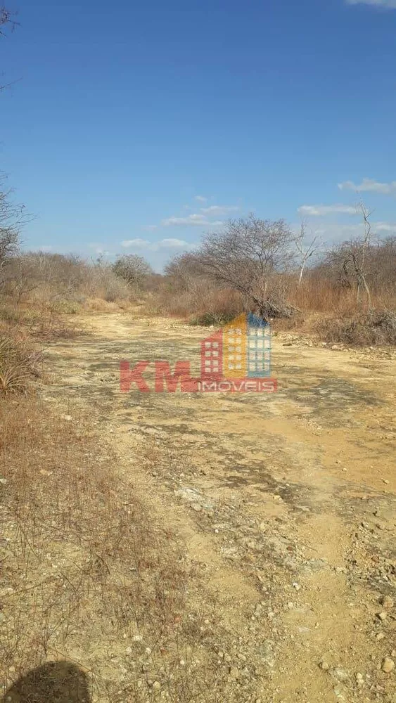 Terreno à venda, 331m² - Foto 2