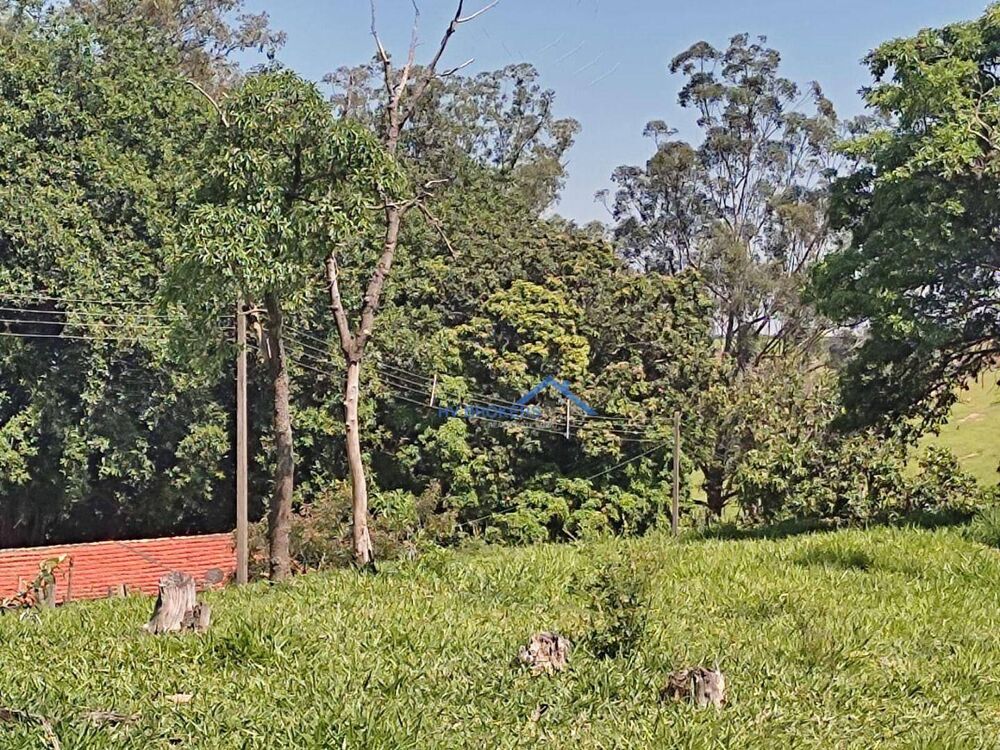 Terreno, 20 hectares - Foto 10