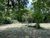 Terreno, 1640 m² - Foto 3