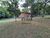 Chácara, 3 quartos, 1 hectares - Foto 3